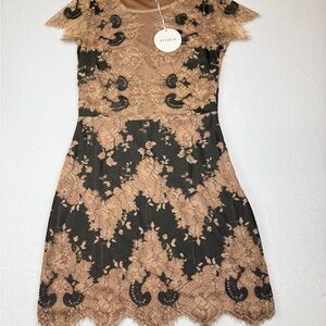 Storia Black and Tan Lace Mini Dress Size Small